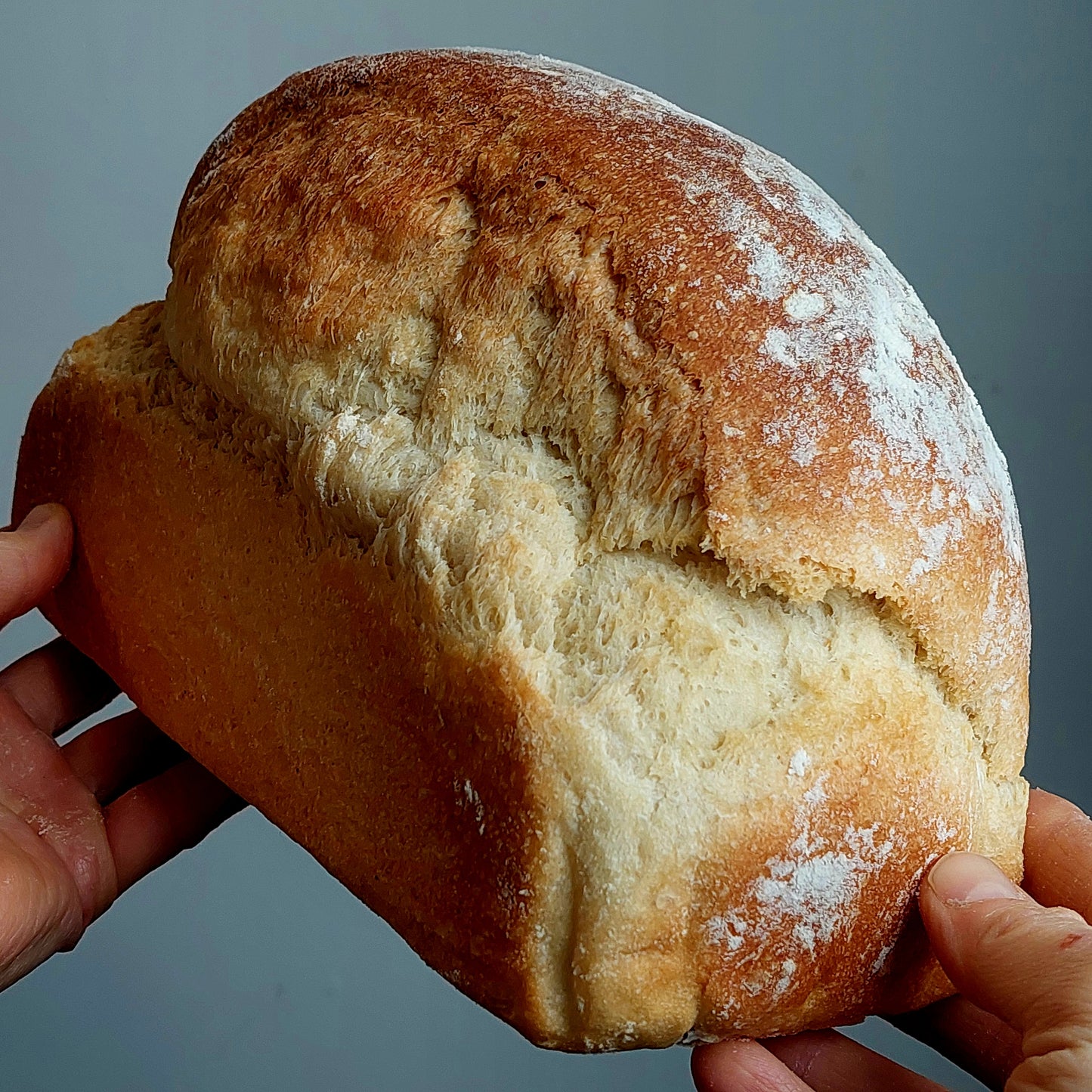 PAIN DE MÉNAGE BLANC