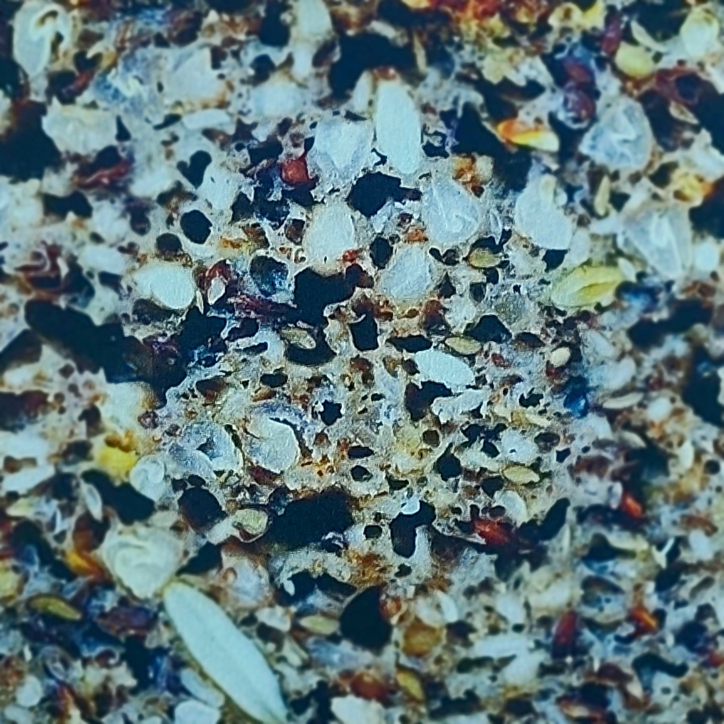 PAIN NORDIQUE (100% levain)